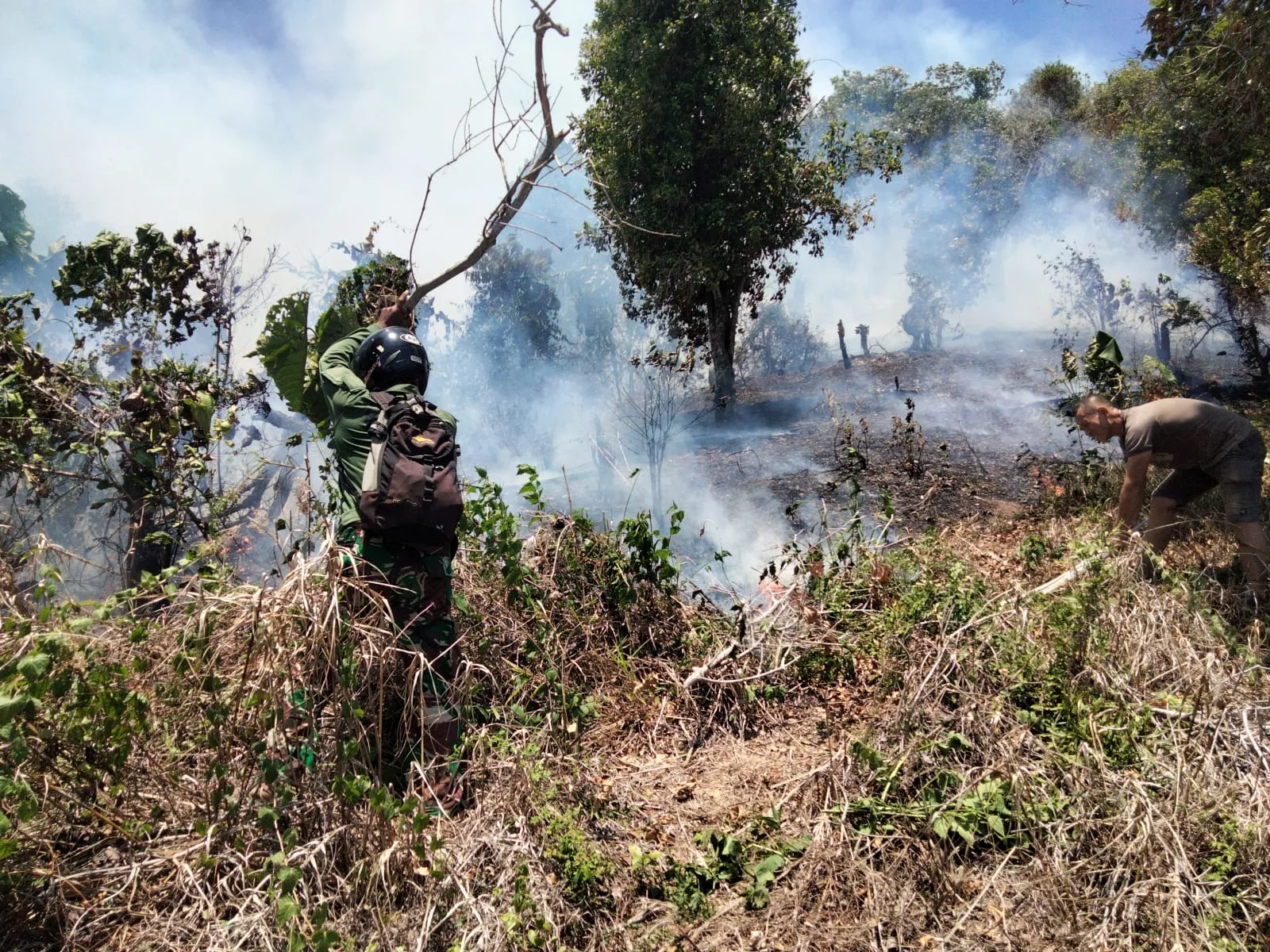 Si Jago Merah Lalap Perkebunan Cengkeh di Bukit Sumalikat, Ratusan Pohon Hangus