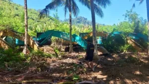 22 Excavator Ditemukan di Kebun Warga, Polda Sulteng Bongkar Dugaan PETI di Buol