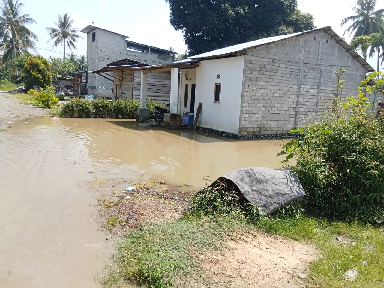 Banjir Rendam 90 Rumah di Tomoli Utara, Tanggul Jebol dan Jalan Trans Sulawesi Tertutup Lumpuh 1 Banjir Rendam 90 Rumah di Tomoli Utara, Tanggul Jebol dan Jalan Trans Sulawesi Tertutup Lumpuh